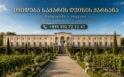 იყიდება შატო / ღვინის ქარხანა / მარანი კომერციული ფართი სოფელ არგვეთაში, ზესტაფონი