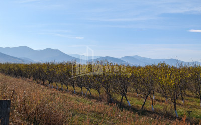 იყიდება მიწის ნაკვეთი სოფელი შაუმიანი მარნეული ქვემო ქართლი