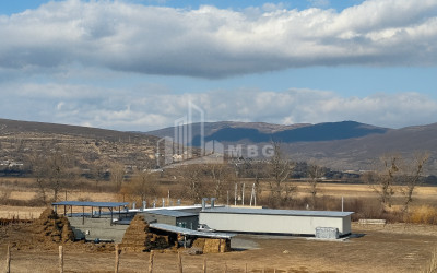 For Sale Commercial Okami Kaspi Shida Kartli