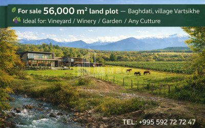 იყიდება მიწის ნაკვეთი წითელსოფელი ქარელი შიდა ქართლი