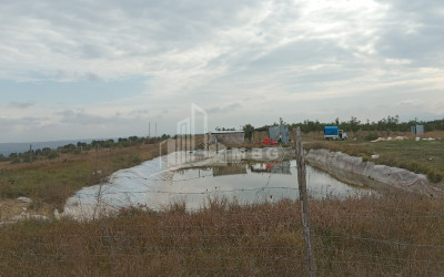 იყიდება მიწის ნაკვეთი ხაშური შიდა ქართლი