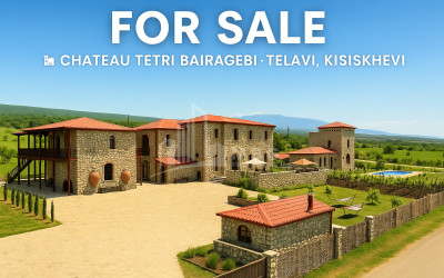 For Sale Commercial Kakheti