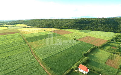 For Sale Land Dusheti Mtskheta   Mtianeti
