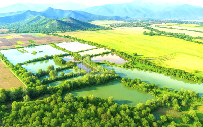 For Sale Land Kvemo Alvani Akhmeta Kakheti