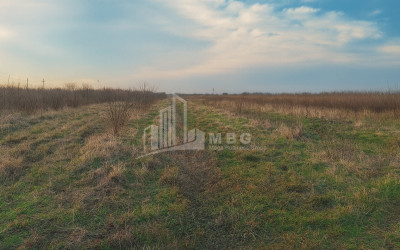 For Sale Land Kvemo Shukhuti Lanchkhuti Municipalities of Guria