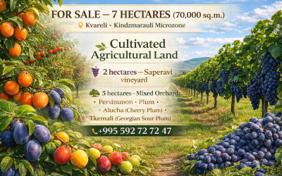 იყიდება ხეხილის ბაღი მიწის ნაკვეთი ყვარელში