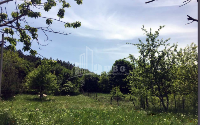 Продается Дачные Земля, в Бетаниа