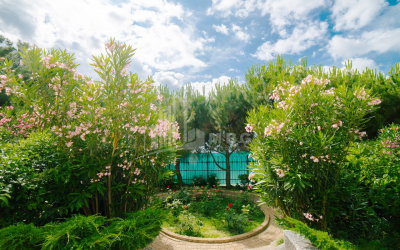 For Sale House - Villa, in Mtskheta