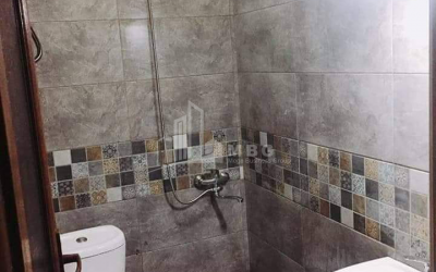 For Sale House - Villa, in Daba Shekvetili