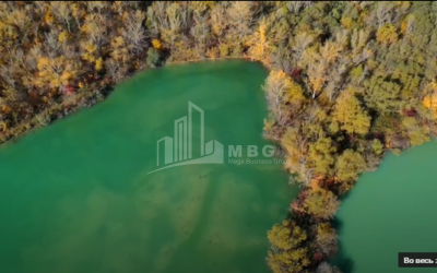 For Sale Lake - Fishing farm Land, in Gombori