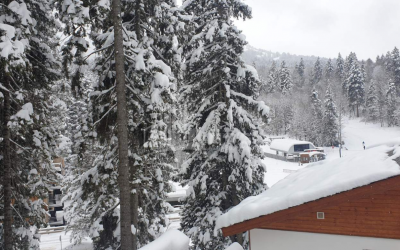 Продается Дом - Вилла, в Бакурцихе